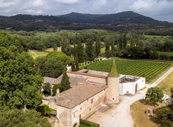 vue du château bas et des vignes