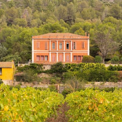 château et vignes pyrénées orientales