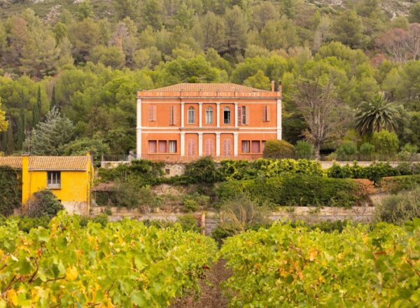 château et vignes pyrénées orientales