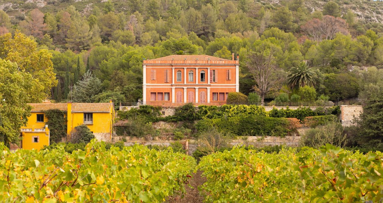 château et vignes pyrénées orientales