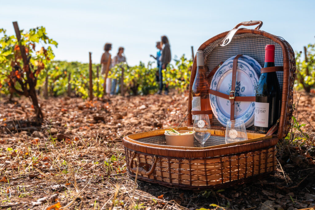 panier pique-nique dans les vignes