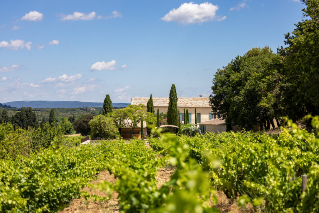 bastide dans les vignes 