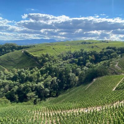 paysage vignes côte rôtie