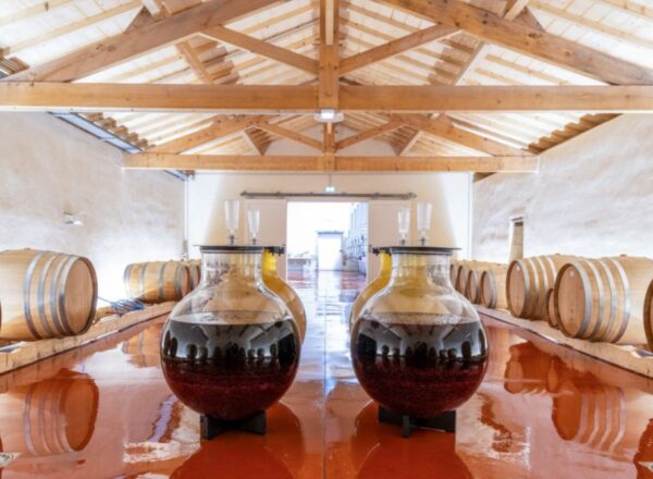 chai fûts wine globes