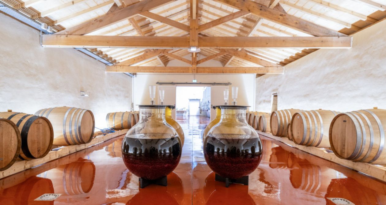 chai fûts wine globes
