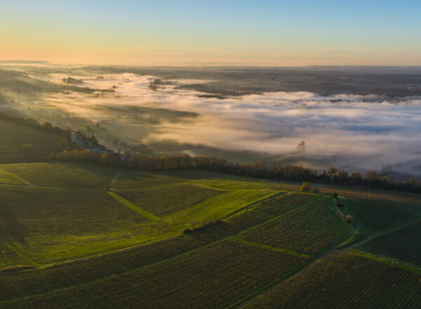 vignoble bordeaux nuages