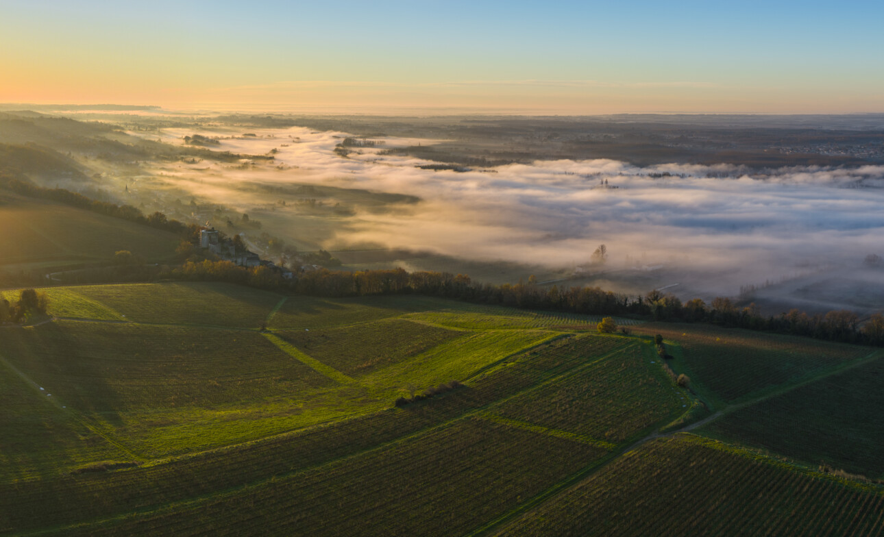 vignoble bordeaux nuages