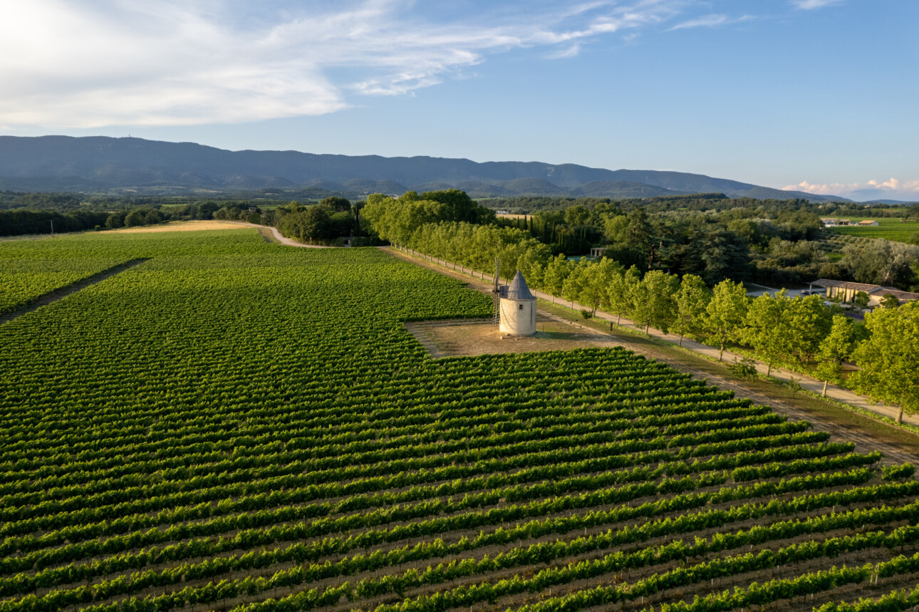 vignes Luberon moulin