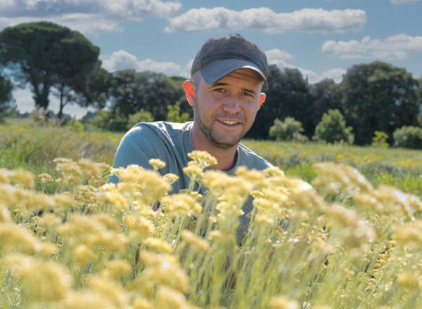 homme champ de fleurs
