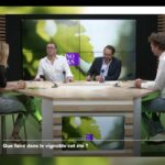 Plateau Vino Veritas juillet 2025