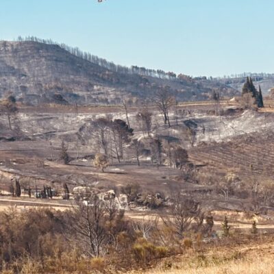 paysage ravagé par un incendie corbières