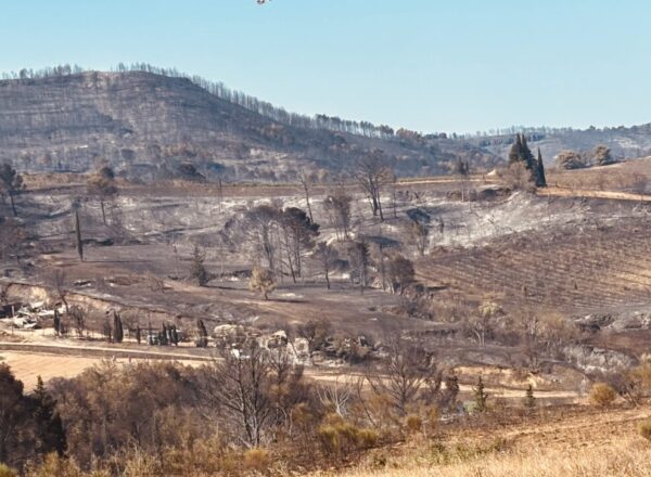paysage ravagé par un incendie corbières