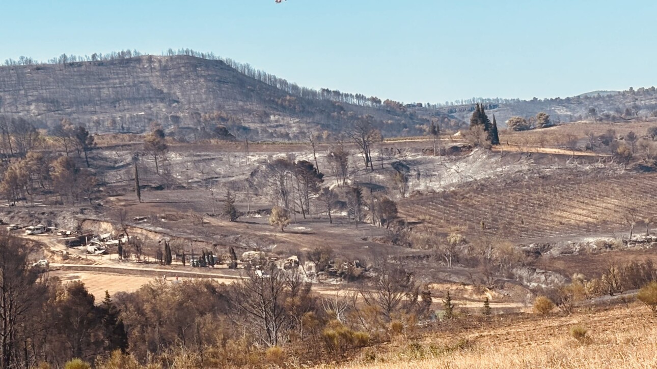 paysage ravagé par un incendie corbières