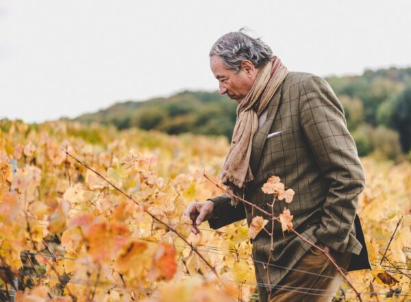 Bruno Paillard, président de Lanson-BCC, dans ses vignes.