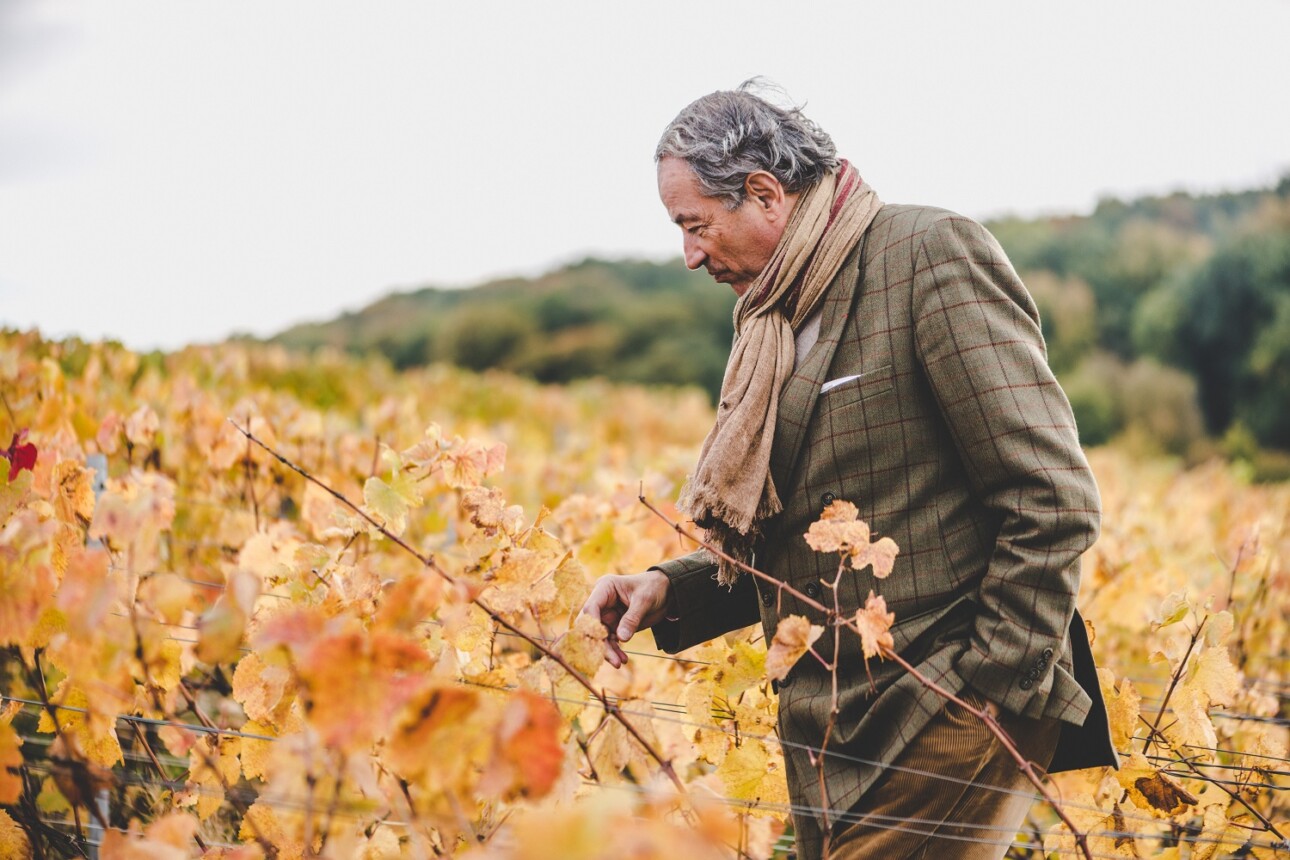 Bruno Paillard, président de Lanson-BCC, dans ses vignes.