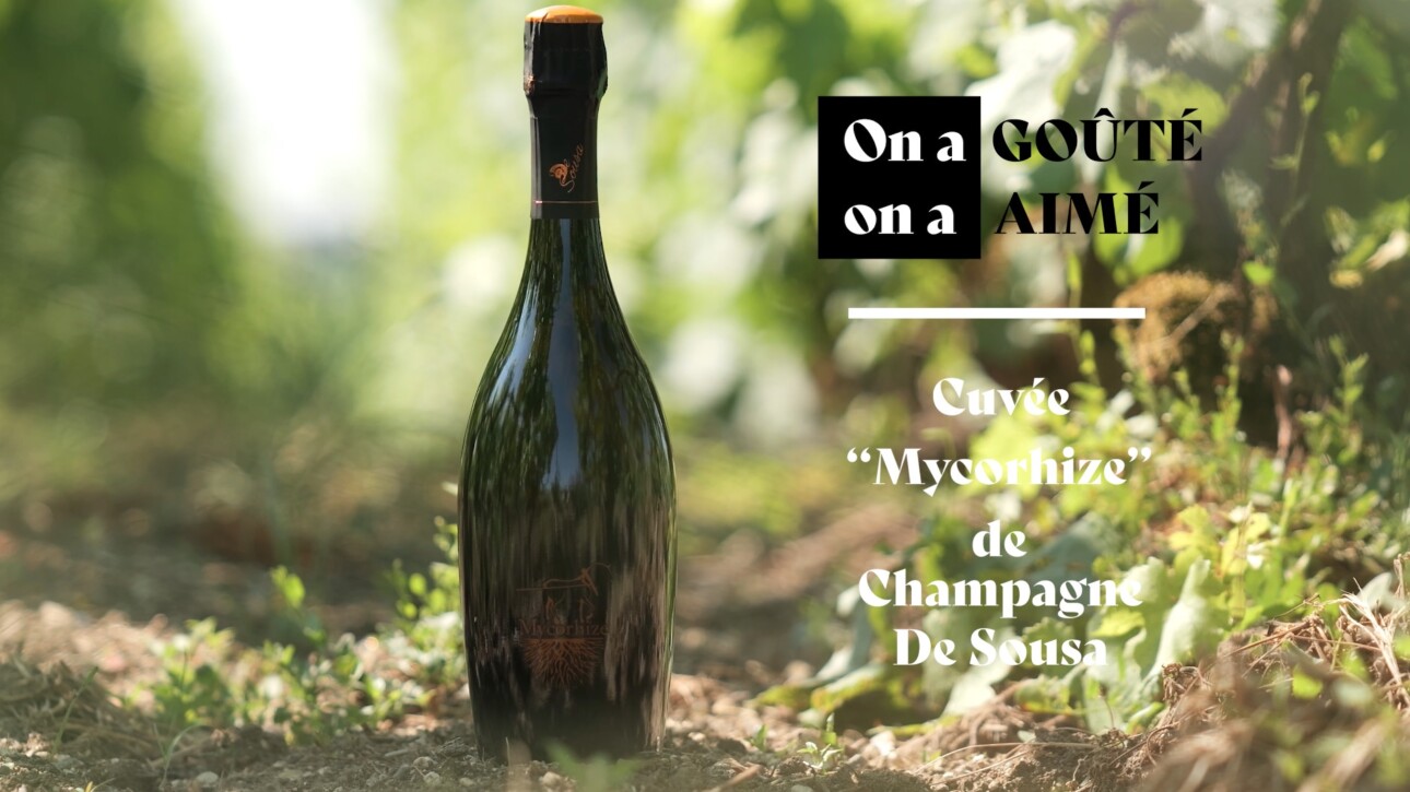 On a goûté, on a aimé : Champagne De Sousa – cuvée Mycorhize
