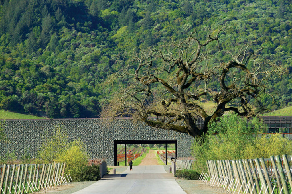 Dominus Estate