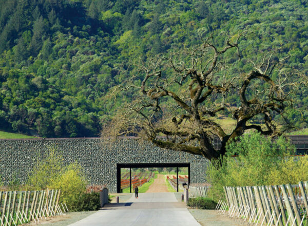 Dominus Estate