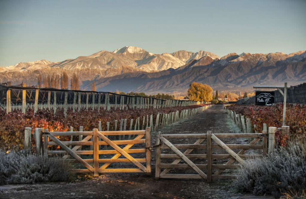 Cheval des Andes Argentine Mendoza