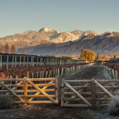 Cheval des Andes Argentine Mendoza