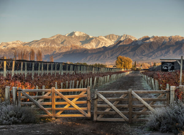 Cheval des Andes Argentine Mendoza