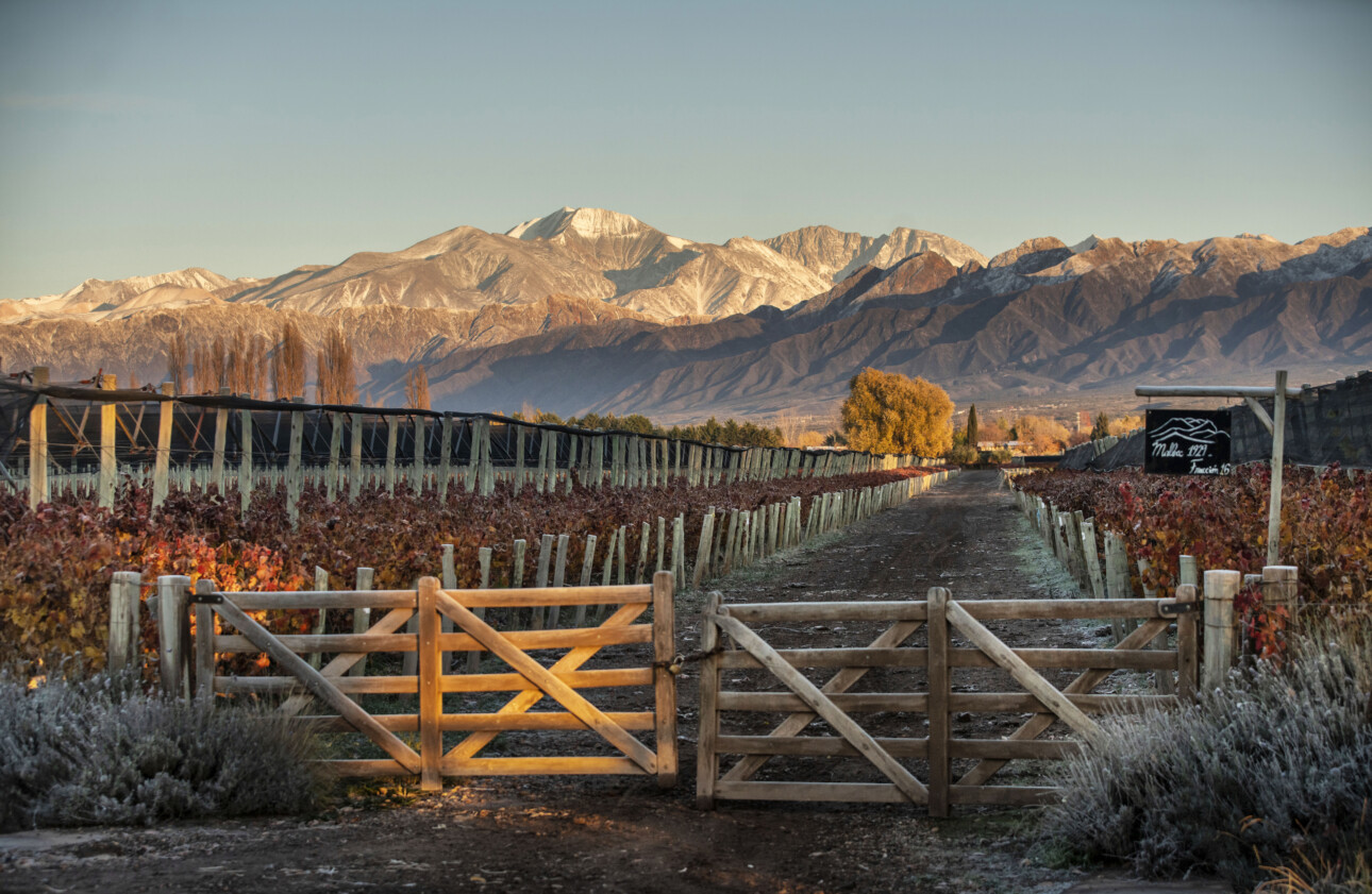 Mini-verticale : Cheval des Andes