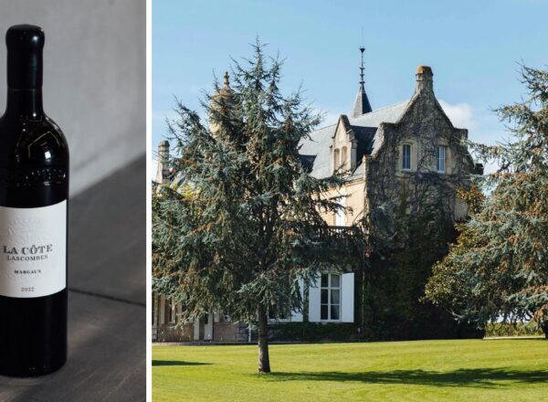 Une nouvelle cuvée 100 merlot pour le château Lascbombes. ©Sarah Arnould