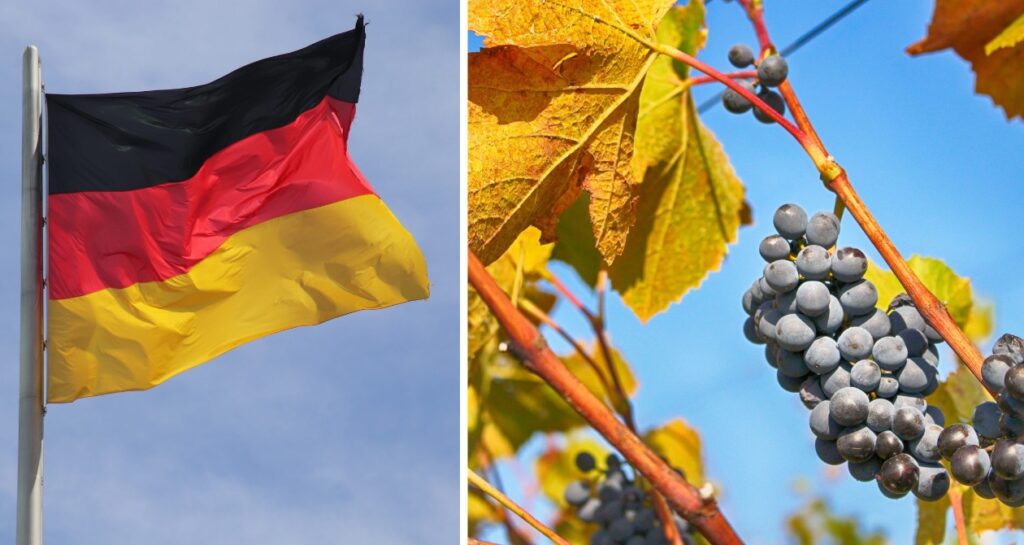 viticulture allemagne