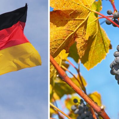 viticulture allemagne