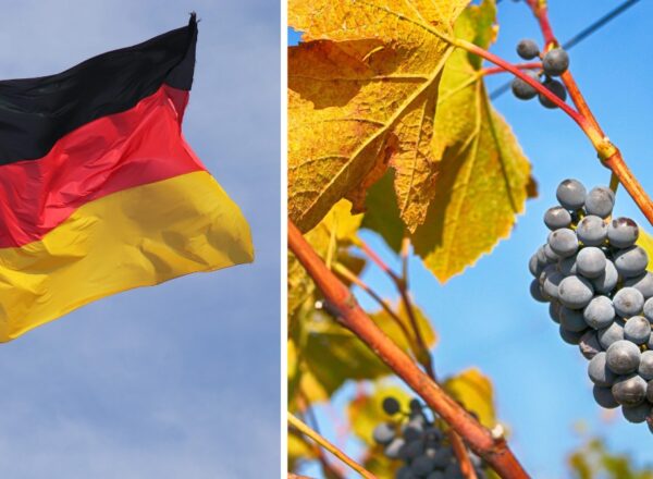 viticulture allemagne