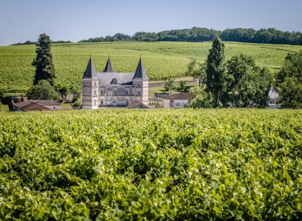 prorpiété du cognac frapin pour illustrer les vendanges