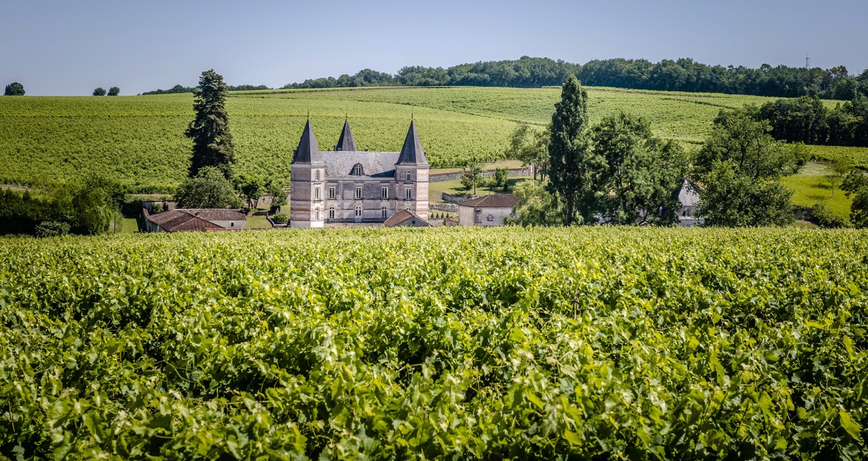 prorpiété du cognac frapin pour illustrer les vendanges