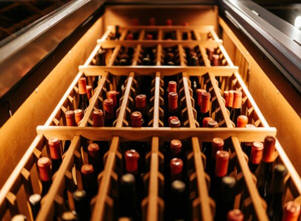 foire aux vins vinatis