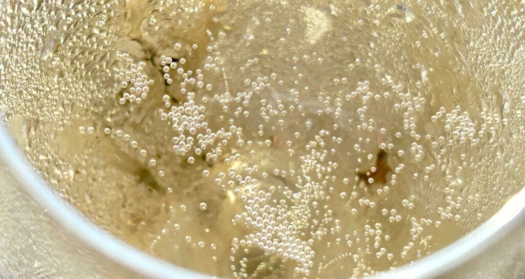 champagne des vignerons