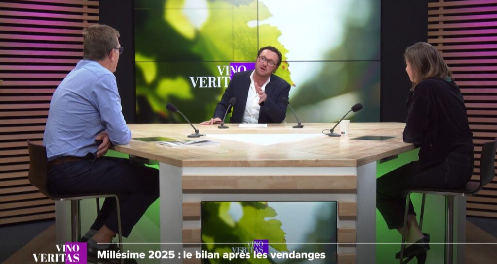 vino veritas vendanges 2025