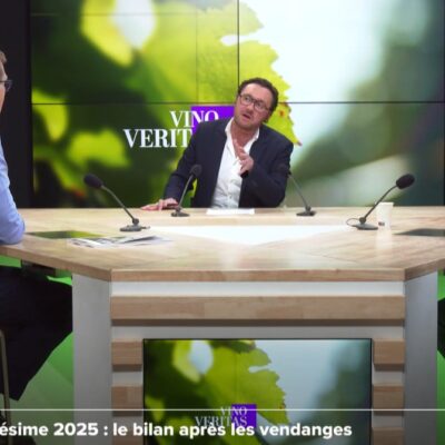 vino veritas vendanges 2025