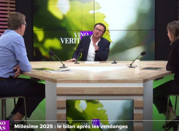 vino veritas vendanges 2025