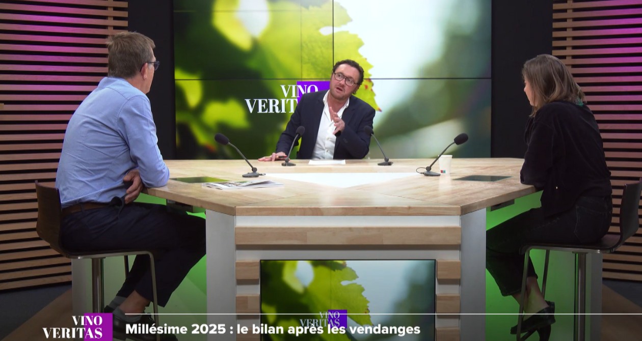 vino veritas vendanges 2025