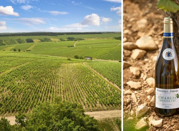 vignes et bouteille simmonet-febvre