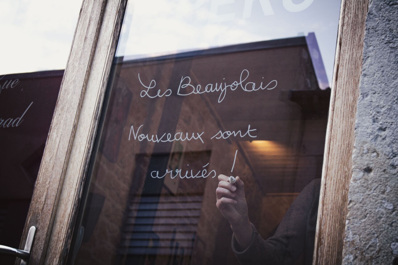 Beaujolais Nouveaux 2025 : bilan et sélection