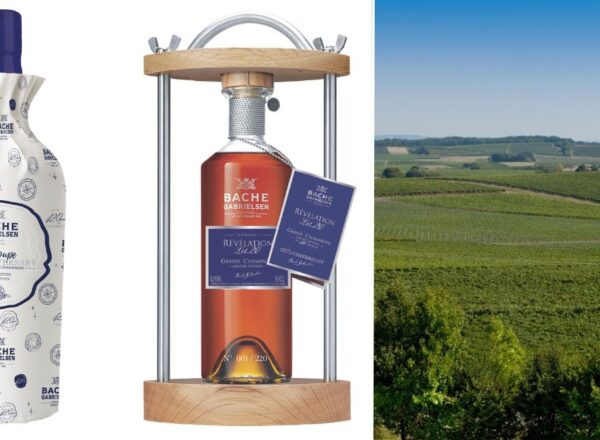 flacon cognac bache gabrielsen et vue sur les vgnes