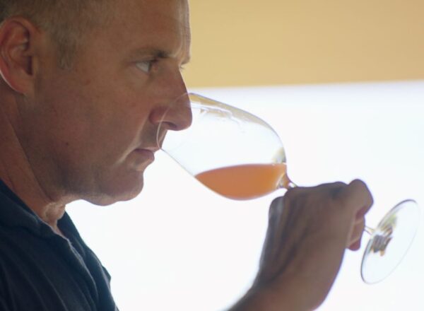 dégustation assemblage rosé