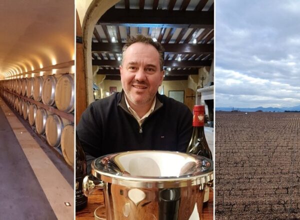 chai à barrique portrait pierre fabre terroir mont redon chateauneuf du pape