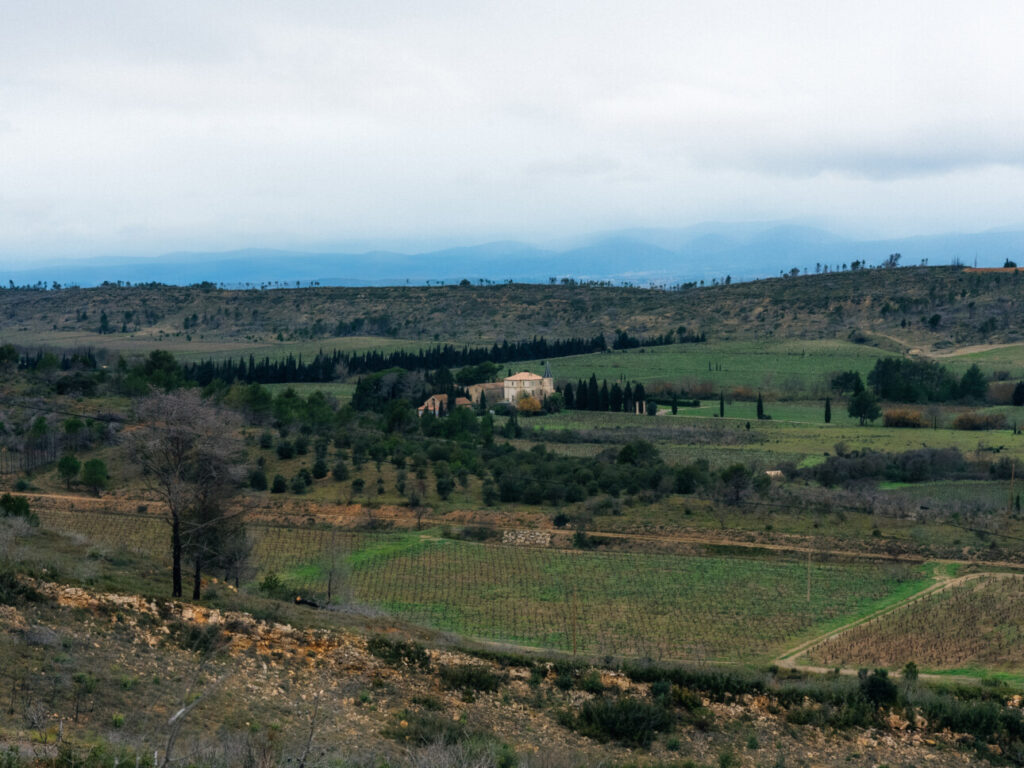 vignes château la baronne corbières 