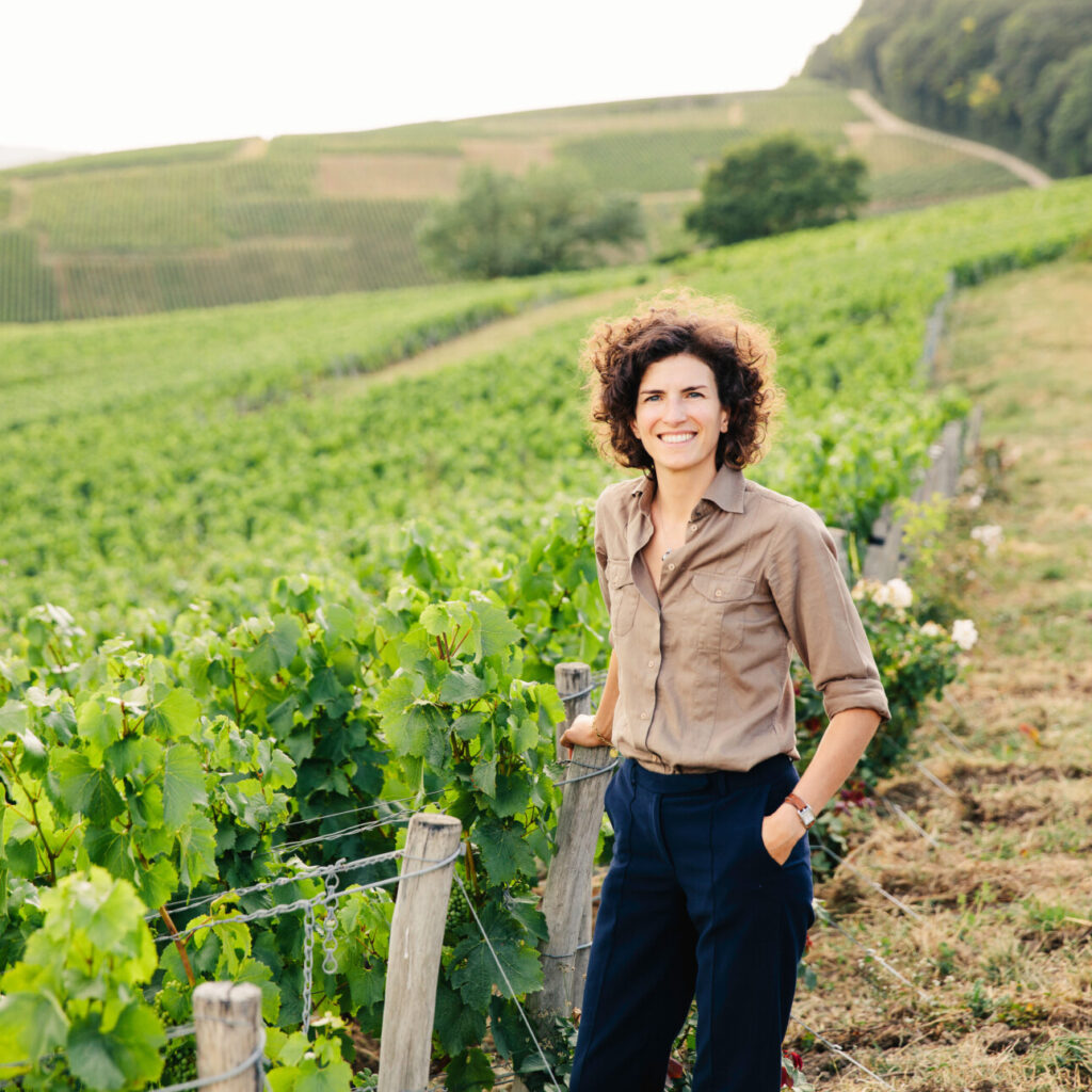 alice paillard vignes champagne 