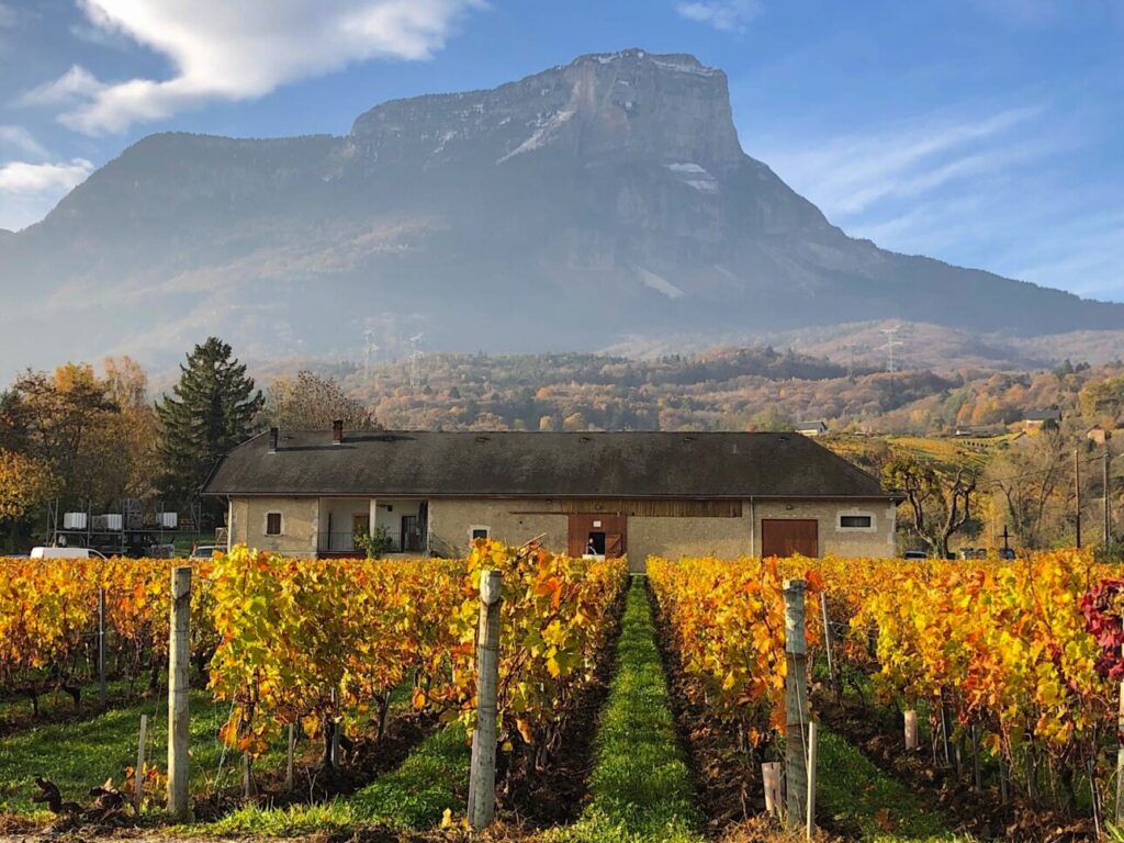 vignes montagne Savoie