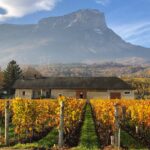 vignes montagne Savoie