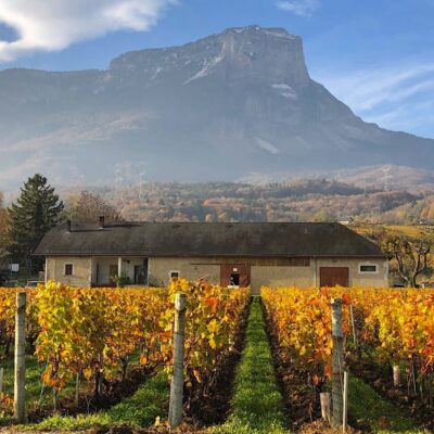 vignes montagne Savoie