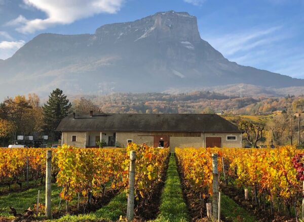 vignes montagne Savoie