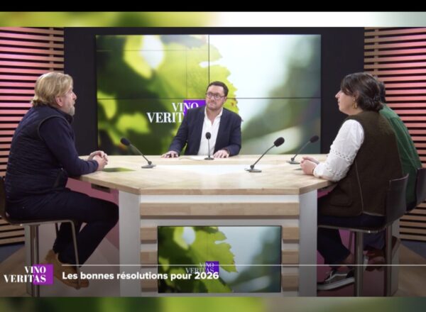 Vino Veritas TV7 Plateau Janvier 2026 Château Coufran Château Verdignan Domaine Baudon